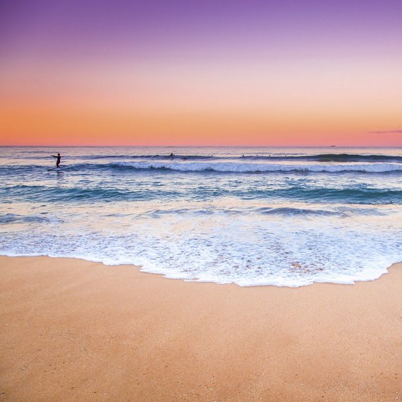 从熊猫饲养员到巧克力品尝师 哪些职业最令人羡慕？