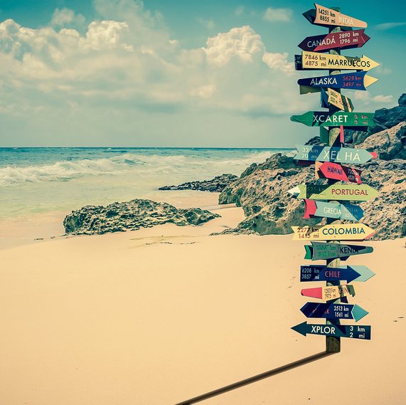 从熊猫饲养员到巧克力品尝师 哪些职业最令人羡慕？