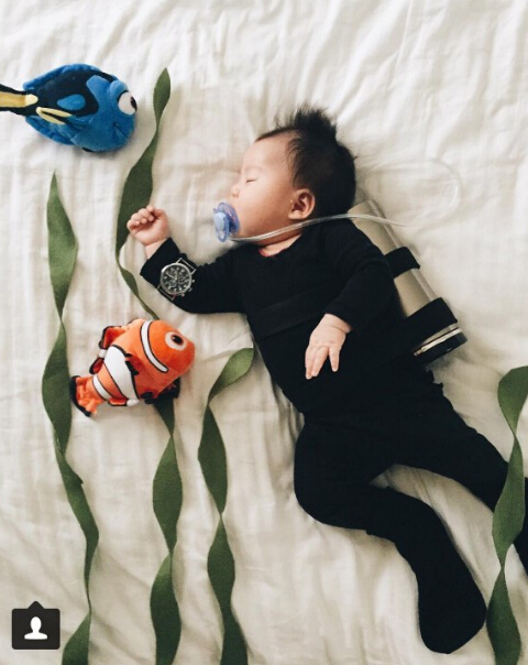 美洛杉矶4个月大&ldquo;睡美人&rdquo;萌态可掬成&ldquo;网红&rdquo;