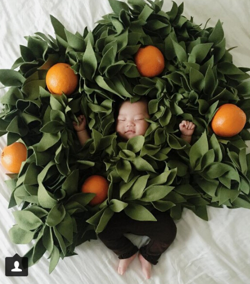 美洛杉矶4个月大&ldquo;睡美人&rdquo;萌态可掬成&ldquo;网红&rdquo;