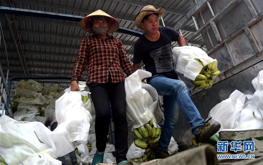 （财经专线）（1）中国－东盟地缘经济发展迅猛