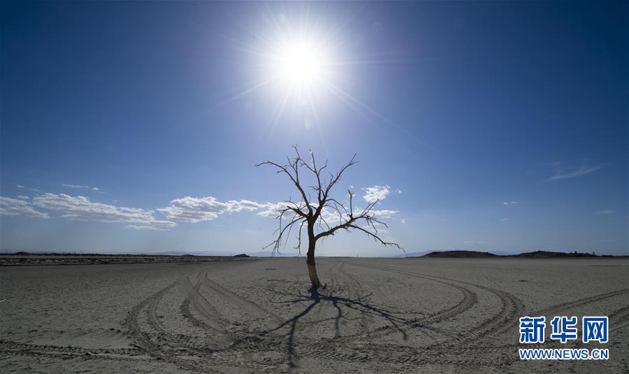 （国际）（4）加州最大湖泊生态环境恶化
