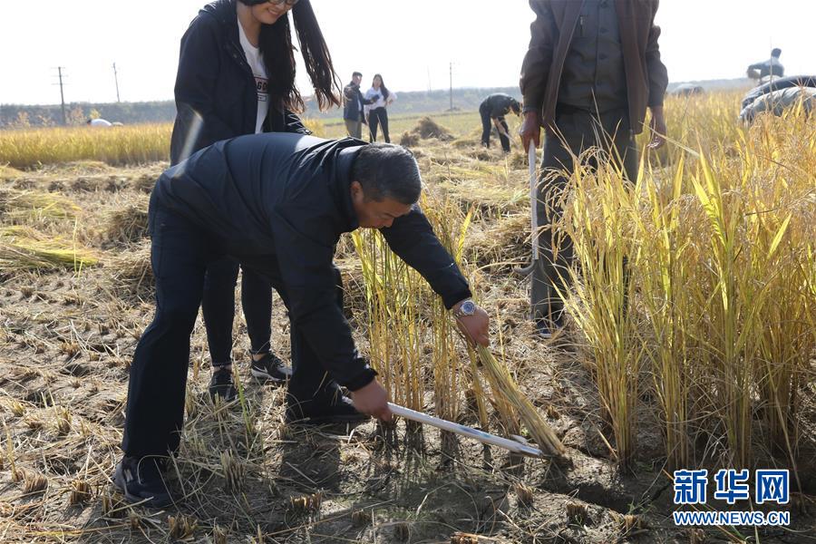 中国驻朝鲜大使馆帮助朝中友好宅庵合作农场秋