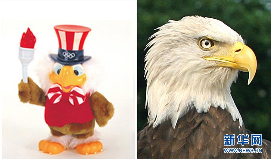 左图:1984年洛杉矶奥运会吉祥物、“山姆”鹰;右图:在美国华盛顿特区拍摄的一只鹰(2007年6月28日摄)。 左图:1984年洛杉矶奥运会吉祥物、“山姆”鹰;右图:在美国华盛顿特区拍摄的一只鹰(2007年6月28日摄)。
