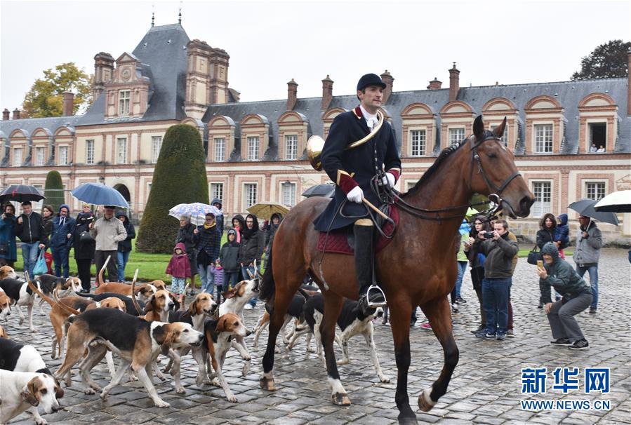 （国际）（2）法国枫丹白露宫再现贵族式狩猎场景