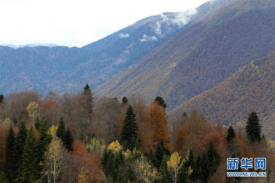 （国际）（1）索契滑雪胜地克拉斯诺波利亚纳秋景