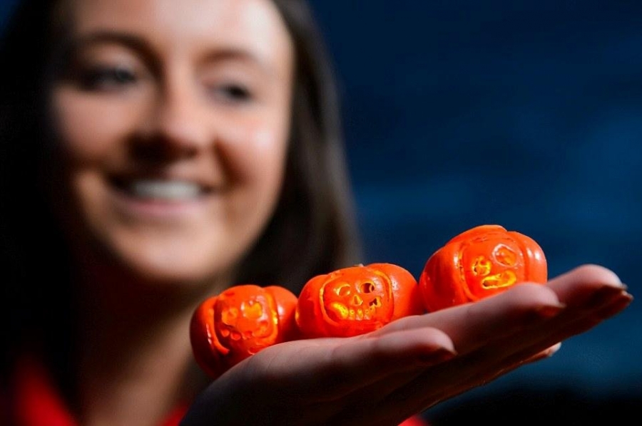 激萌!英国现世界最小南瓜灯 猜猜看它们有多小