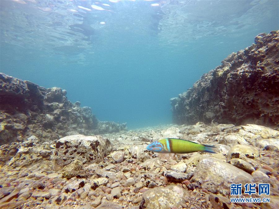 （国际&middot;图文互动）（4）探访希腊沉睡2000年的水下古城