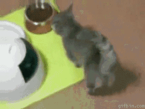 花样表达&ldquo;我饿了&rdquo;