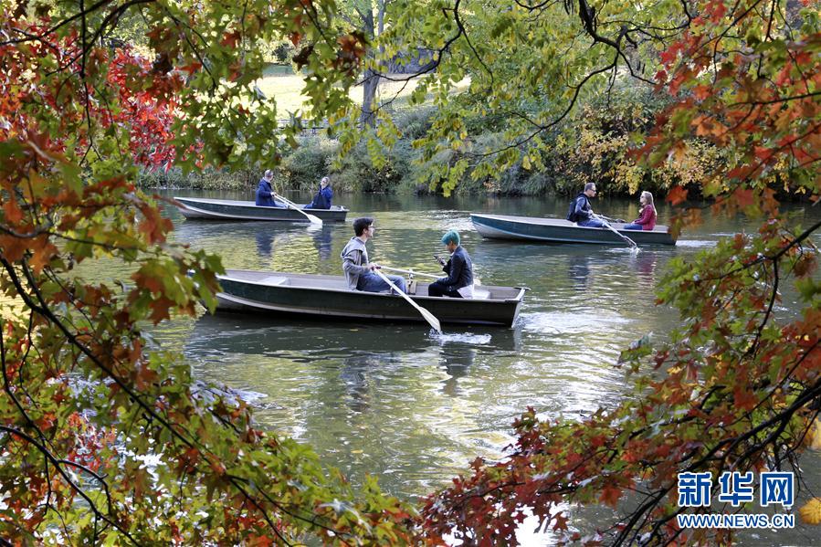 （国际）（2）中央公园秋景如画