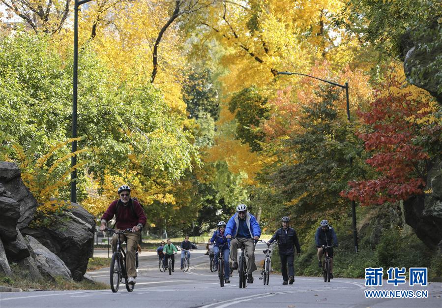 （国际）（4）中央公园秋景如画
