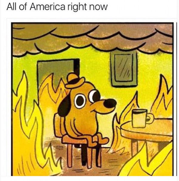 特朗普胜选惊呆网友 用恶搞表示抗议