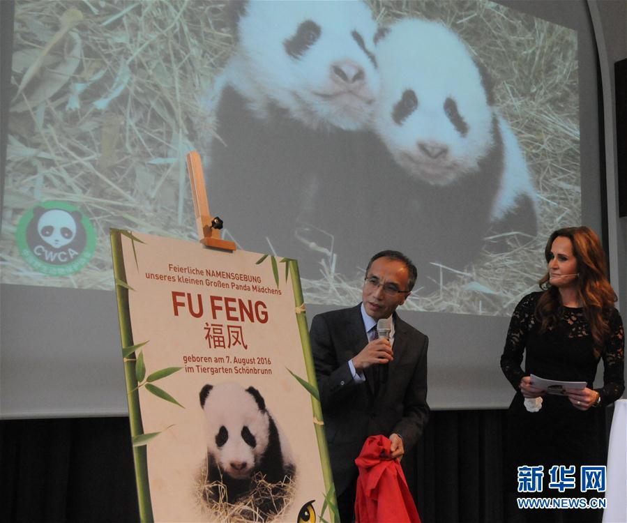 （XHDW）维也纳美泉宫动物园为大熊猫双胞胎举行命名仪式