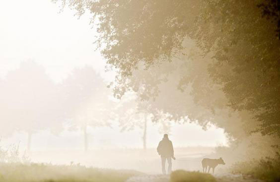 蜗居太贵？不如买一片树林解放你的身心