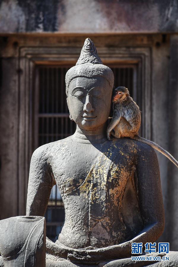 （国际）（3）泰国华富里：古塔中的猴群乐园