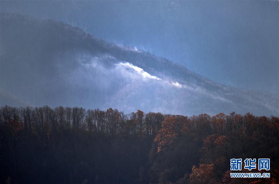 （国际）（4）美国田纳西州山火死亡人数升至7人