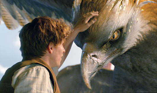 关于《神奇动物在哪里》的十大幕后故事