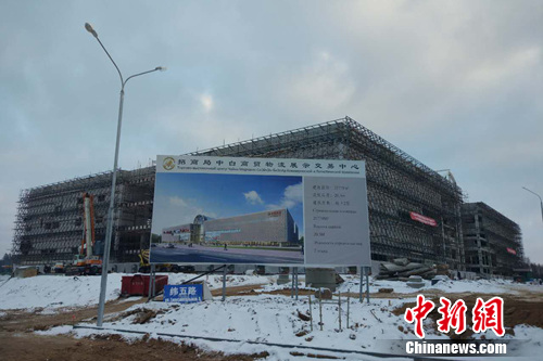 正在建设。中新网记者 李金磊 摄