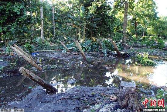 资料图：当地时间2013年2月6日，南太平洋岛国所罗门群岛东南部的圣克鲁斯群岛发生里氏8.0级地震，地震还引发了海啸。