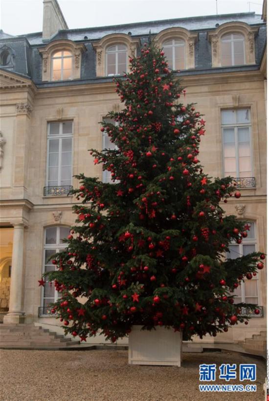 （外代二线）爱丽舍宫圣诞树