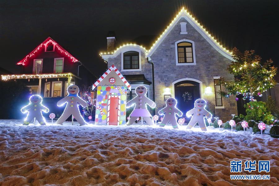 （国际）（4）温哥华亮起灯饰迎圣诞