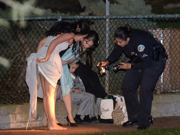 美国公园婚礼现场震惊一幕！大树突然倒下砸死一人