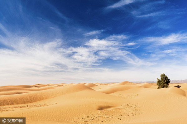 太稀罕！撒哈拉沙漠37年來首迎降雪