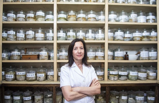 敢不敢来？秘鲁&ldquo;大脑博物馆&rdquo;窥探人脑奥秘（图）