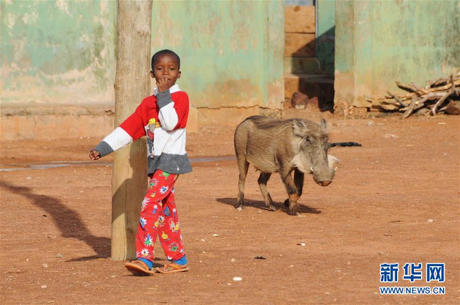 (国际)(7)探访加纳莫雷国家公园