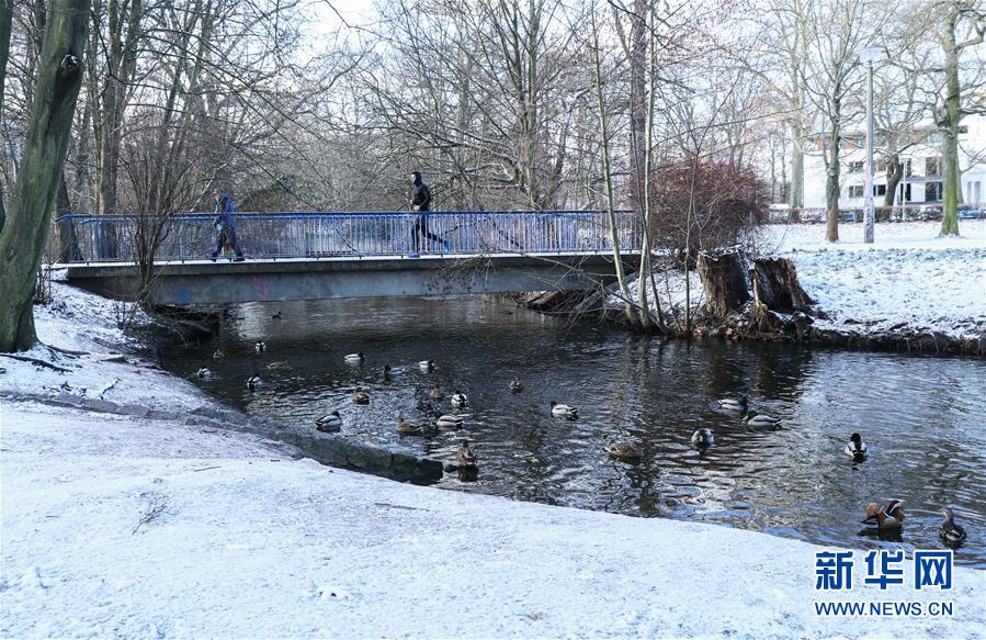 （国际）（4）雪后柏林