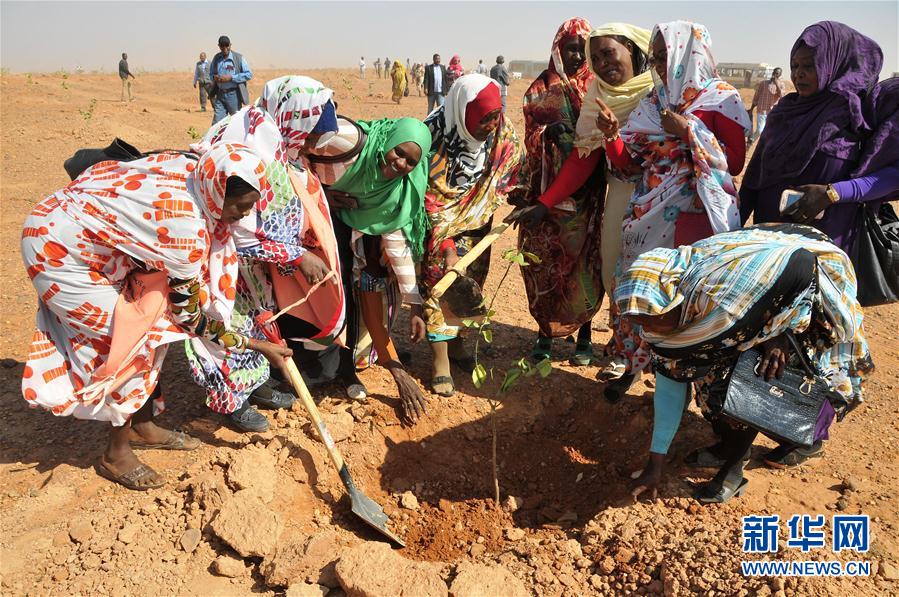 （国际）（3）苏丹民众参加植树活动
