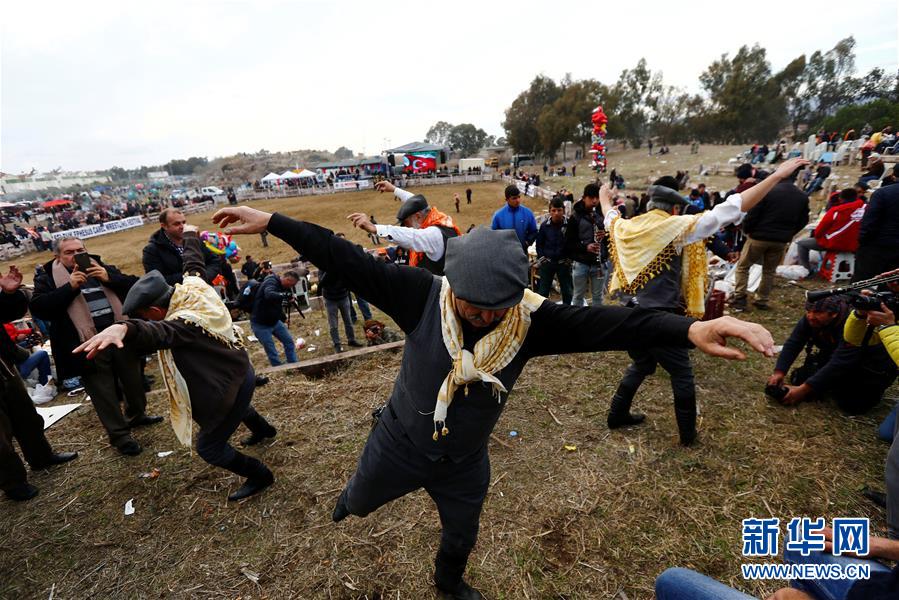 （外代一线）（3）土耳其骆驼&ldquo;摔跤&rdquo;大赛