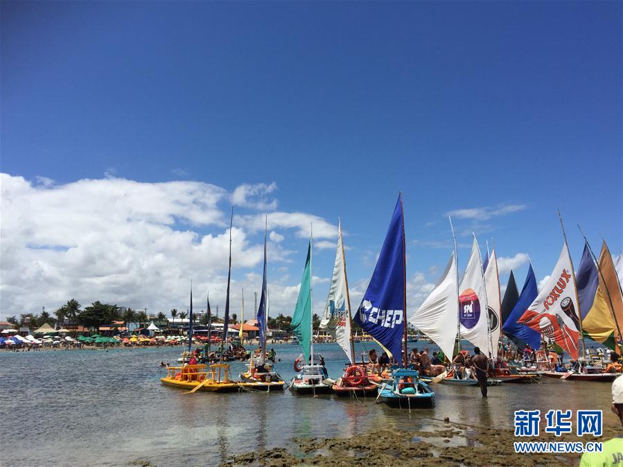 （国际）（1）鸡年到来游&ldquo;鸡港&rdquo;