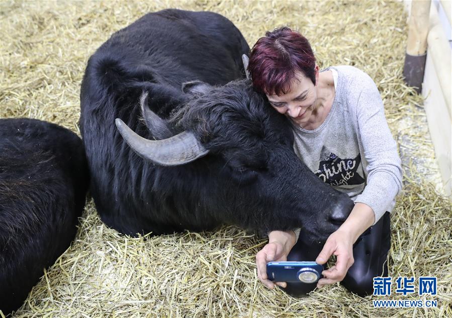 （国际）（2）2017柏林国际绿色周开幕