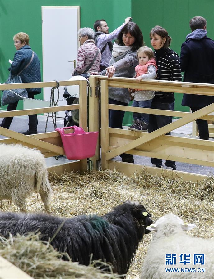 （国际）（3）2017柏林国际绿色周开幕