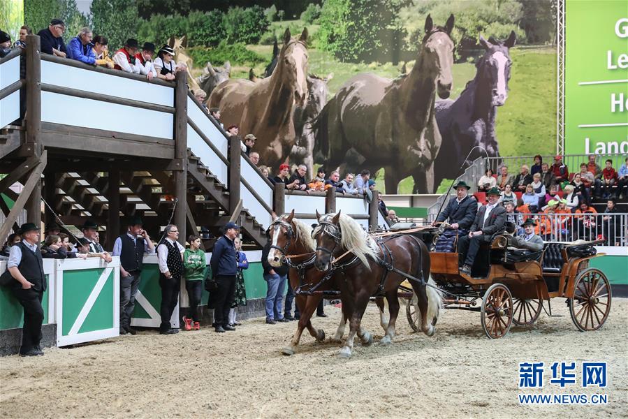 （国际）（5）2017柏林国际绿色周开幕