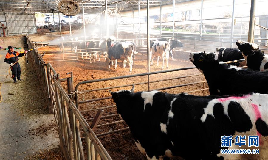 （外代一线）（3）韩国出现口蹄疫疫情