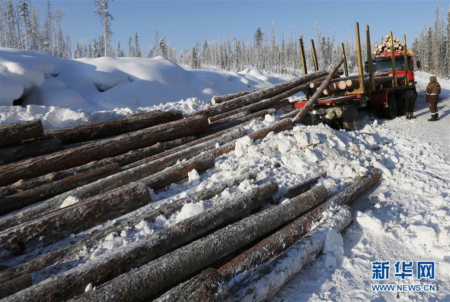 （外代一线）（7）冬季伐木忙