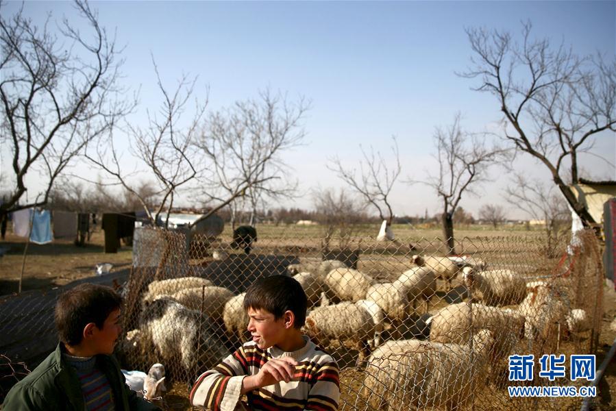（外代一线）（5）难民营里的日子