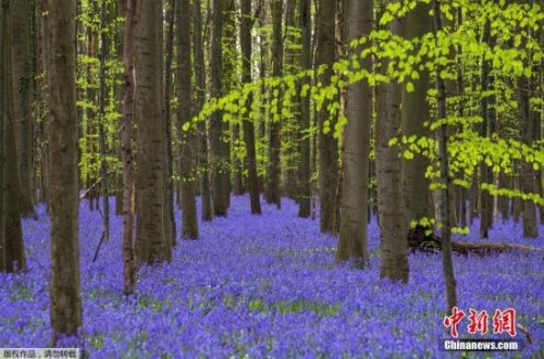 电脑怎么进行翻墙