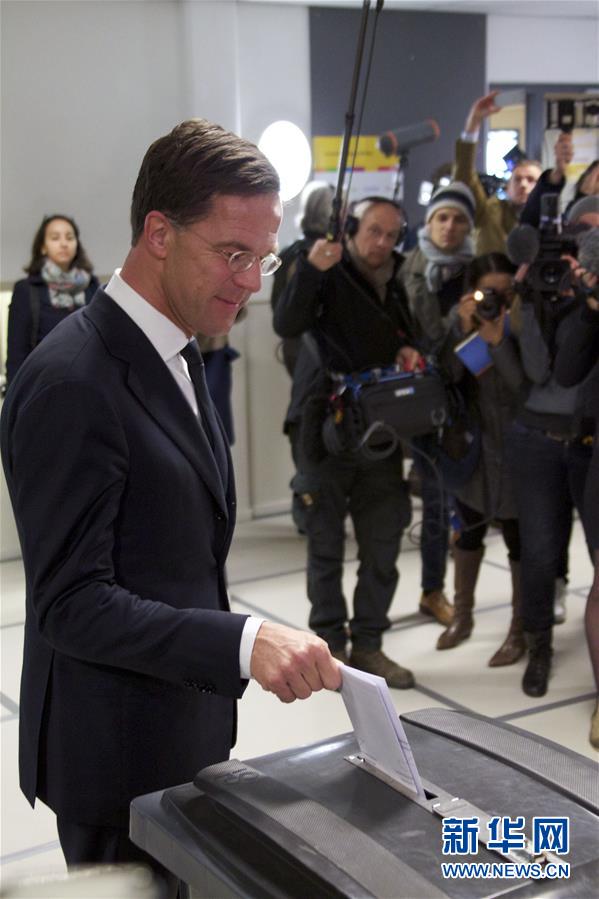 （国际）（2）荷兰传统右翼自由民主党在众议院选举中领先