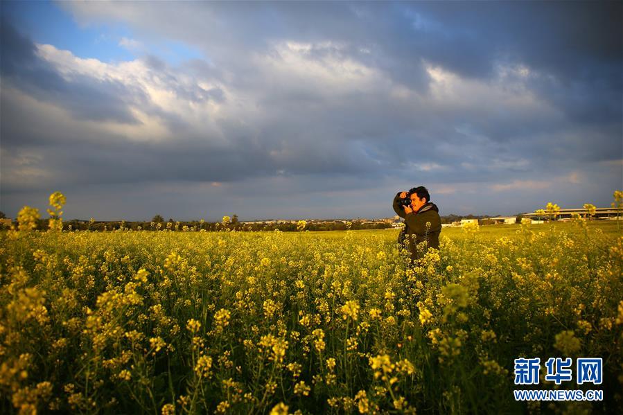 [6]（外代二线）春到加沙