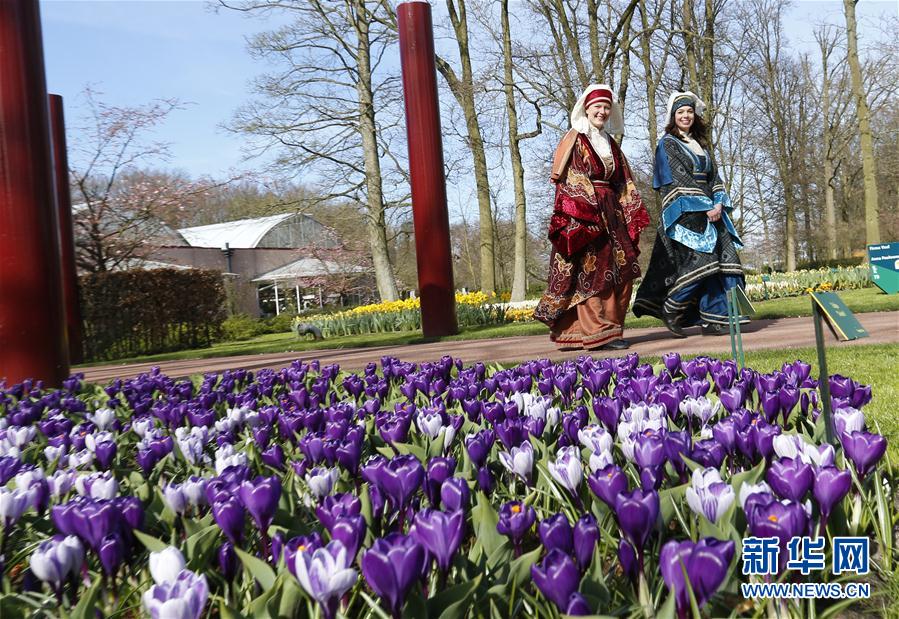 （国际）（4）荷兰库肯霍夫公园：欣赏郁金香之美