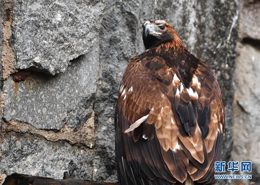 [15]（外代二线）莫斯科动物园