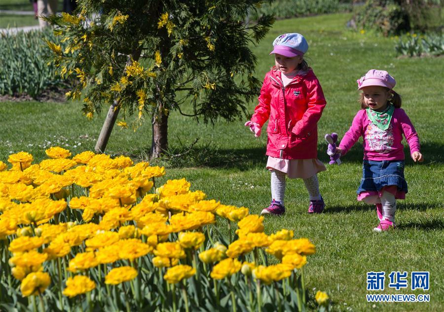 （国际）（7）瑞士莫尔日郁金香节