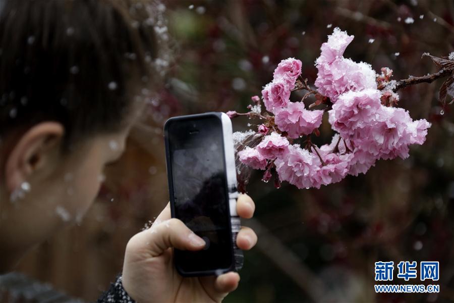 （外代一线）（2）德国降雪