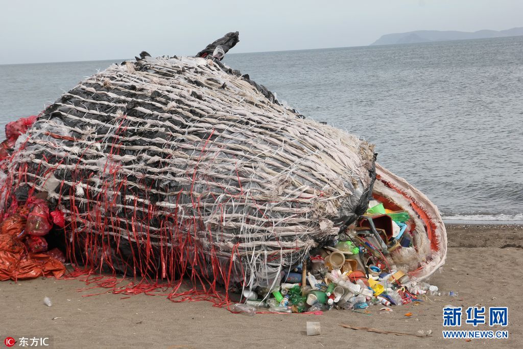 菲环保人士塑料垃圾打造巨型死鲸雕塑 呼吁关