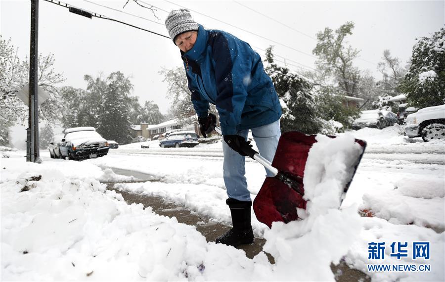 [4]（外代二線）科羅拉多五月雪