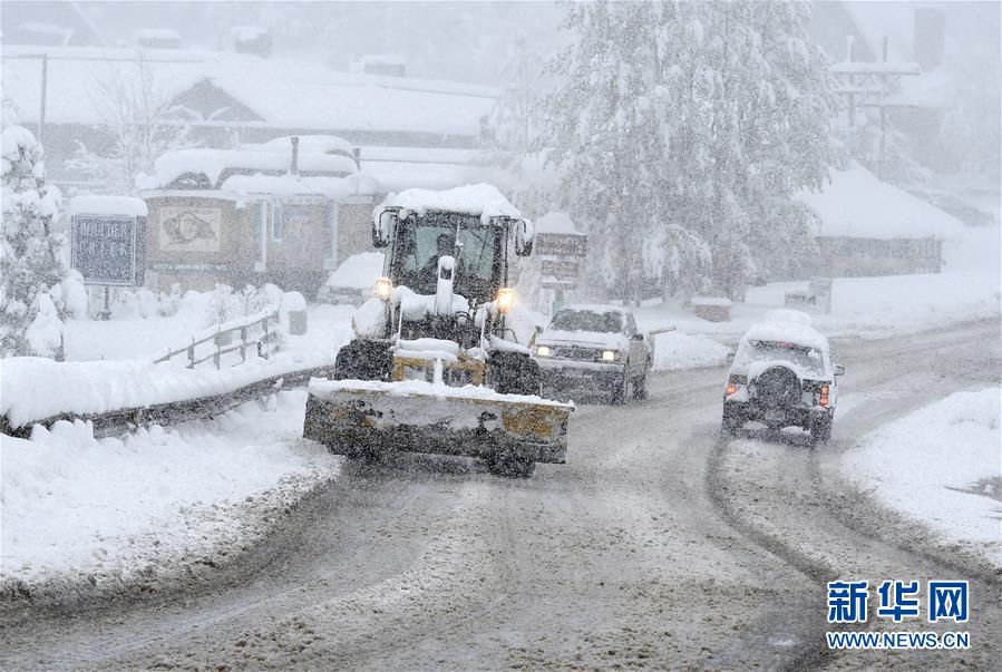 [6]（外代二線）科羅拉多五月雪