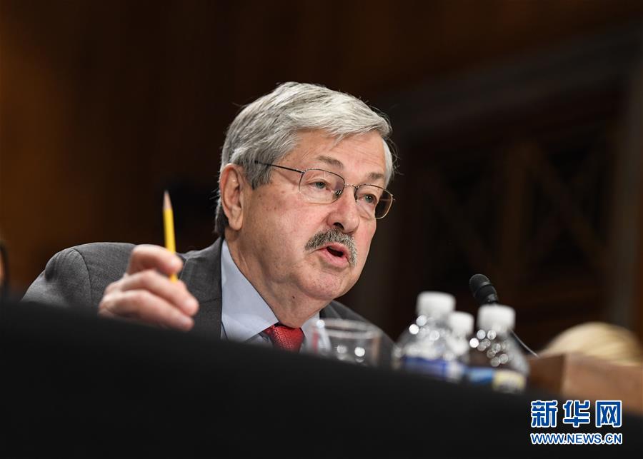（国际）美国国会参议院批准艾奥瓦州州长特里·布兰斯塔德为新任驻华大使